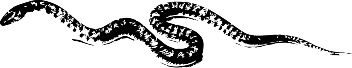 abstract illustration snake silhouette. Illustration of shape as an example of snake design. Diseño abstracto de serpiente en color blanco, negro, verde y guinda. PNG. VEXTOREN. JPG