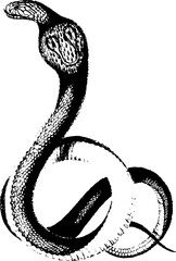 Fototapeta premium abstract illustration snake silhouette. Illustration of shape as an example of snake design. Diseño abstracto de serpiente en color blanco, negro, verde y guinda. PNG. VEXTOREN. JPG