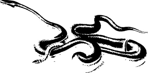abstract illustration snake silhouette. Illustration of shape as an example of snake design. Diseño abstracto de serpiente en color blanco, negro, verde y guinda. PNG. VEXTOREN. JPG
