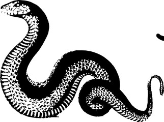 abstract illustration snake silhouette. Illustration of shape as an example of snake design. Diseño abstracto de serpiente en color blanco, negro, verde y guinda. PNG. VEXTOREN. JPG