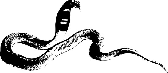 abstract illustration snake silhouette. Illustration of shape as an example of snake design....