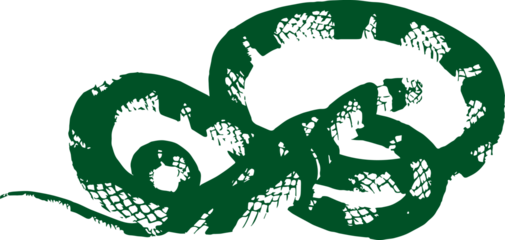 abstract illustration snake silhouette. Illustration of shape as an example of snake design. Diseño abstracto de serpiente en color blanco, negro, verde y guinda. PNG. VEXTOREN. JPG