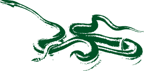 abstract illustration snake silhouette. Illustration of shape as an example of snake design. Diseño abstracto de serpiente en color blanco, negro, verde y guinda. PNG. VEXTOREN. JPG