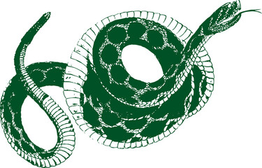 abstract illustration snake silhouette. Illustration of shape as an example of snake design....