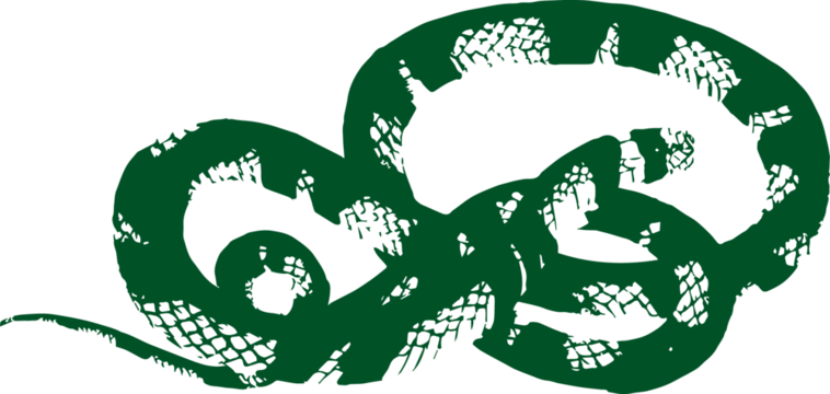 abstract illustration snake silhouette. Illustration of shape as an example of snake design. Diseño abstracto de serpiente en color blanco, negro, verde y guinda. PNG. VEXTOREN. JPG