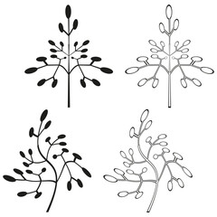 Simple plant illustration. Organic branch outline. Nature inspired Vector. White background element.