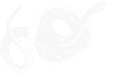 abstract illustration snake silhouette. Illustration of shape as an example of snake design. Diseño abstracto de serpiente en color blanco, negro y guinda. PNG. VEXTOREN. JPG