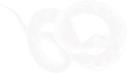 abstract illustration snake silhouette. Illustration of shape as an example of snake design. Diseño abstracto de serpiente en color blanco, negro y guinda. PNG. VEXTOREN. JPG