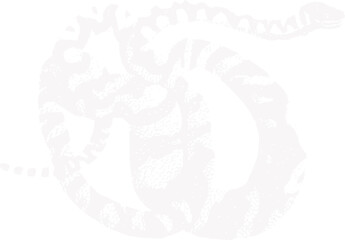 abstract illustration snake silhouette. Illustration of shape as an example of snake design. Diseño abstracto de serpiente en color blanco, negro y guinda. PNG. VEXTOREN. JPG