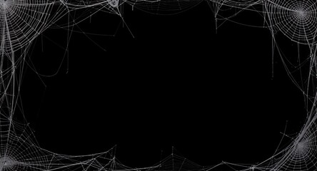 Spiderweb Border Halloween Gothic Design Element