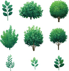 A set of green trees with leaves