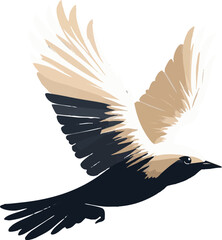 A bird with black and white feathers is flying in the air