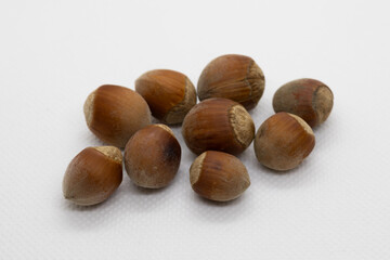 Hazelnut on a light background.
