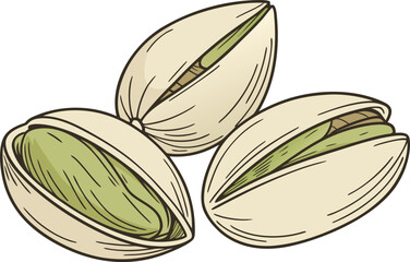 Pistachio Design Highlighting Natural Nut and Shell. Detailed Pistachio Illustration Showing Fresh Nut and Texture. High Quality Pistachio Design for Food and Snack Industry. Fresh Pistachio Artwork