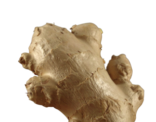 Fresh Ginger Root with Natural Texture Isolated on Black Background PNG