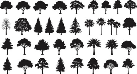 Silhouette tree collection, pine trees, palm trees, oak trees, forest illustration, tropical landscape, botanical elements, outdoor nature, vector tree art design.