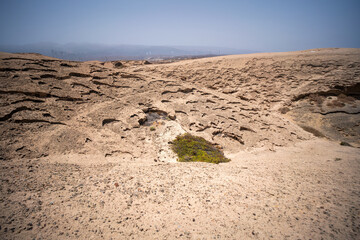 Arid landscapes in Teide national park in Tenerife. 
