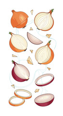 A detailed collection of fresh yellow and red onions sliced and diced showing their inner textures and layers