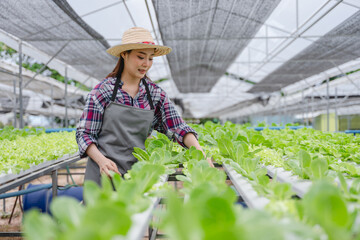 Obraz premium farmer carefully inspecting green lettuce in modern hydroponic greenhouse agricultural in farming technology offering a glimpse smart farm of agriculture 