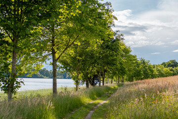 Tranquil Lakeside Path - Lac du Gabás, France – A Scenic Spring View.