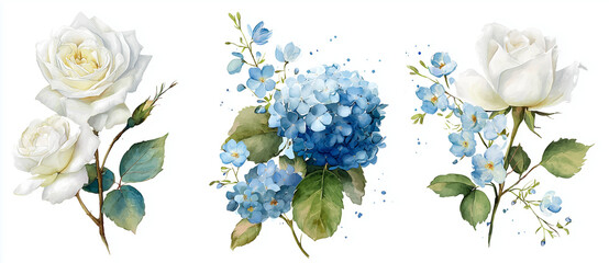 Watercolor florals feature soft white roses and blue hydrangeas, ideal for wedding invitations, branding, and elegant posters.