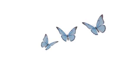 Stunning Blue Butterfly Swarm Stock Photo Perfect for Design Branding