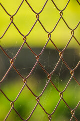 Fototapeta premium The texture of rust and time on a chainlink fence with a spider web passing of time concept