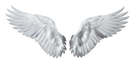 White Angel Wings High-Resolution Image for Design Creative Projects