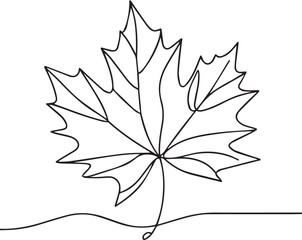 Minimalist Line Art Oak Leaf Illustration in Black and White, Modern Botanical Concept