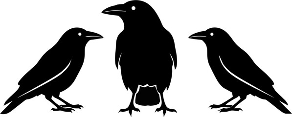 Crow and Raven Silhouettes in Minimalist Composition – Black Bird Vector on White Background