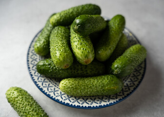 Freshly harvested cucumbers arranged on a decorative plate ready for a summer salad or pickling experience