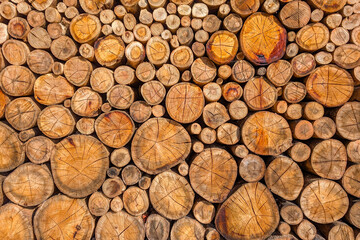 Pile of wood logs stumps for winter. Stack of raw chopped round cutted trees background