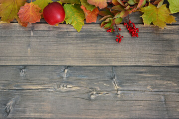 Autumn background on Rustic Wood Surface copy space