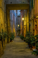 Narrow alleyway with evening lights and potted plants in the historic center of Perugia, Umbria, Italy.