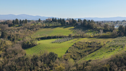 Panoramic view of Tuscan countryside near San Gimignano, Italy, with rolling hills, olive groves,...