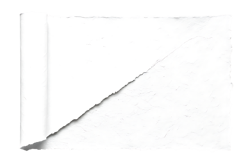 Torn paper reveal with curled edge, abstract design element for concepts on transparent background