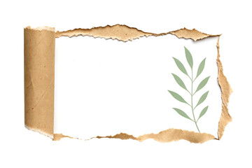Fototapeta premium Torn paper with leaf reveals fresh white space for text on transparent background