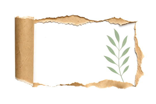 Torn paper with leaf reveals fresh white space for text on transparent background