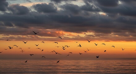 Obraz premium Beautiful capture of the birds flying in the cloudy sky, grey clouds in the sunset sky above a sea