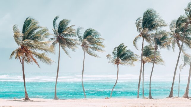 Tropical Beach with Palm Trees Swaying in the Wind, Featuring Turquoise Ocean and Bright Sky