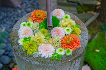 花手水、和の癒し