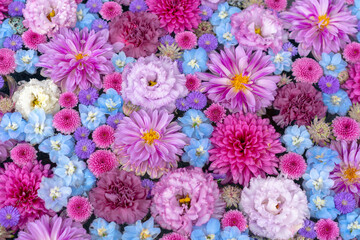 彩り豊かな花手水