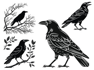 Black Raven Silhouettes Vector Set