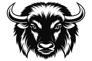 Detailed buffalo head shows powerful curved horns and a blackandwhite fur mane