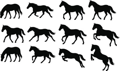 Solid black silhouette of horses in different poses: grazing, standing still, running, jumping, and rearing. A 16-piece set collection focused on horse movement and different postures, with clean line