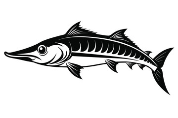 Detailed depicts a black and white barracuda with sharp fins, swimming powerfully
