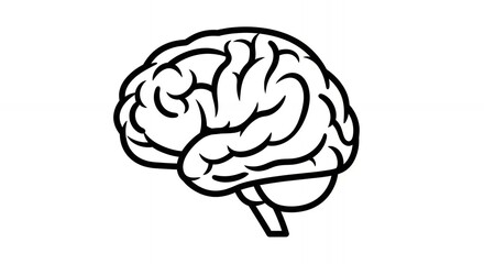 Brain Outline High-Quality Vector Illustration for Commercial Use