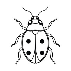a line art drawing of a ladybird on white background