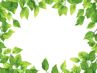 Fototapeta premium A lush frame of vibrant green leaves creates a border on a clean white background. The leaves are of various sizes and are illuminated by a soft, natural light.