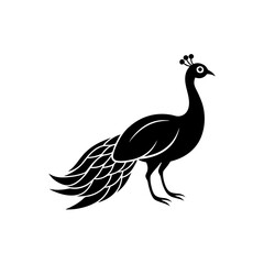 Silhouette of peacock on transparent background